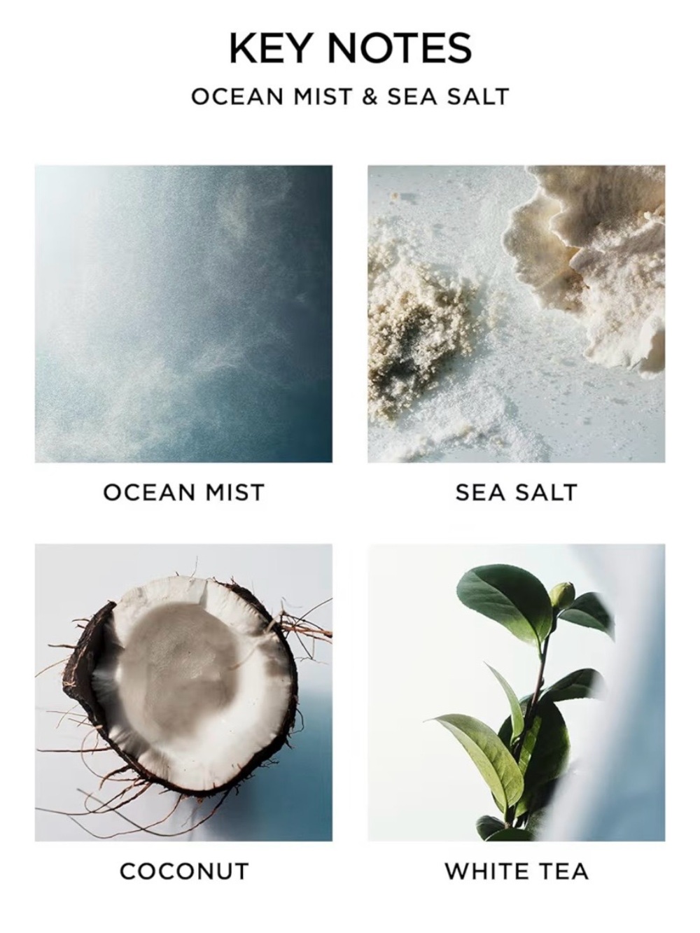 Nest New York Ocean Mist & Sea Salt Scented Candle - 2 Oz. Size - Picture 2 of 2